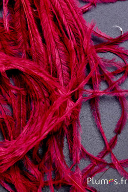 Struzzo barbules - 8-15 cm - rosso